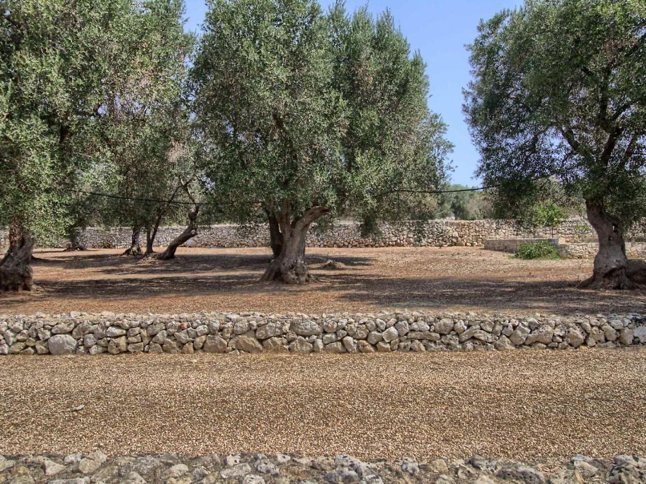 Вілла Stone House Li Turchi 2 Santa Maria di Leuca Екстер'єр фото
